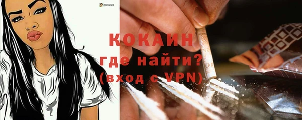 молекула духа Белокуриха